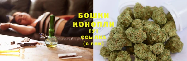 гидра Арсеньев