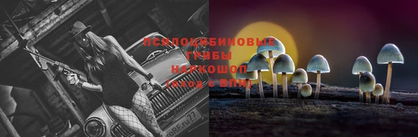 гидра Арсеньев