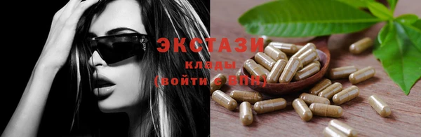 гидра Арсеньев