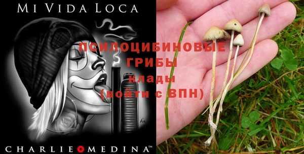 Альфа ПВП Аркадак