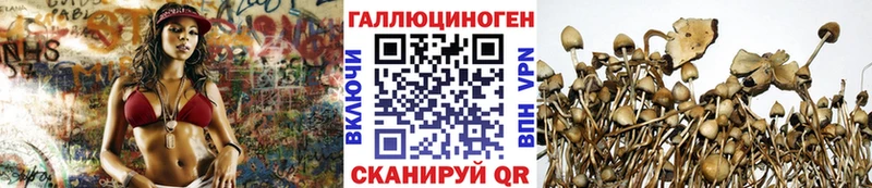 Купить где  Альметьевск  Галлюциногенные грибы прущие грибы 